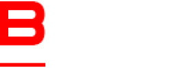 Birud